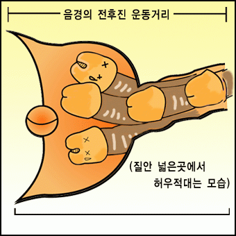 남성 하이테크닉(4) 이미지 #1