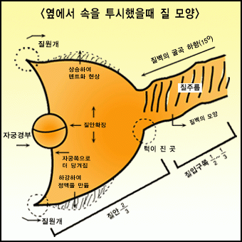 남성 하이테크닉(4) 이미지 #3