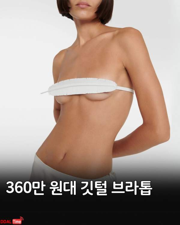 362만원짜리 명품 브래지어 ㄷㄷㄷ 이미지 #1